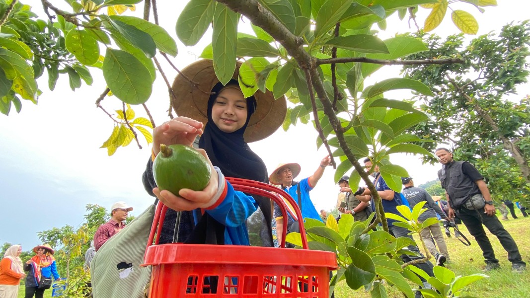 Diplomasi Rakyat dari Situbondo, Delegasi Brunei Belajar Pertanian dan Ekonomi Lokal
