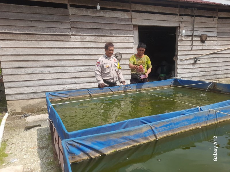Bhabinkamtibmas Desa Pengalihan Sambangi Kolam Ikan Warga