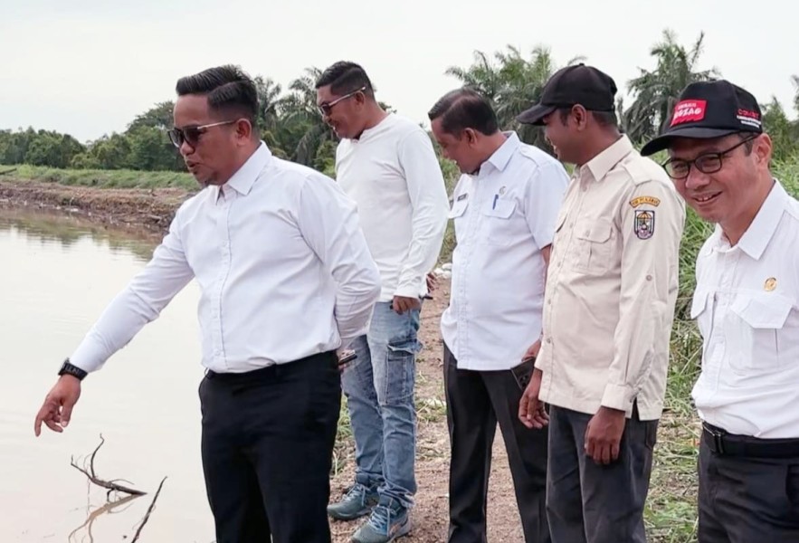 Banyak Ikan Mati di Sungai Kerinci Diduga Akibat Air Tercemar, P3K Tegaskan Soal Ini