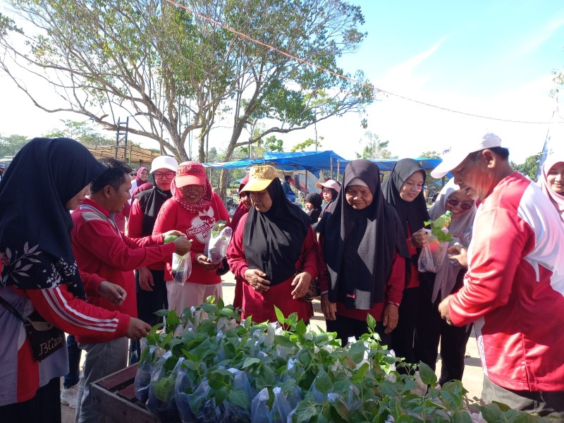 Pesta Rakyat Sungai Lala Meriahkan HUT RI, Warga Dapat Bibit Cabai, Terong, hingga Selada