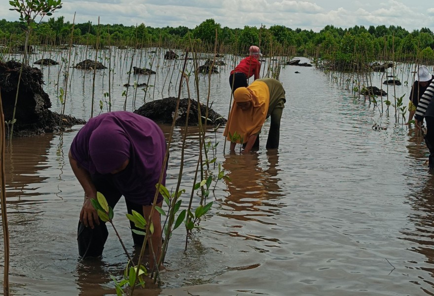 Sempena Hari Pohon Sedunia 2025, BDPN dan Perempuan Duanu Tanam 10.000 Mangrove