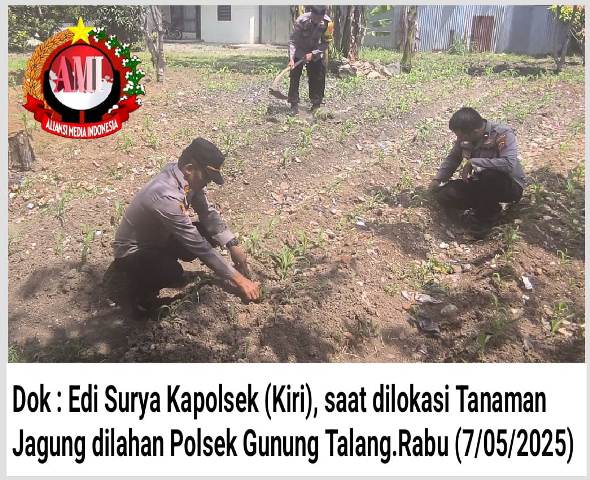 Perdayakan Lahan Kosong, Kapolsek Ajak Jajaran Tanami Dengan Tanaman Jagung