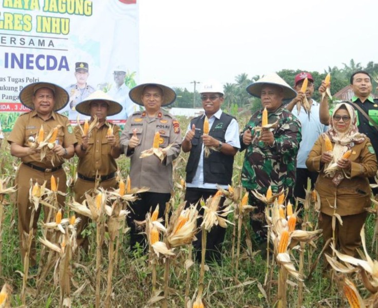 Panen Raya Jagung di Sibabat, Kolaborasi Wujudkan Ketahanan Pangan