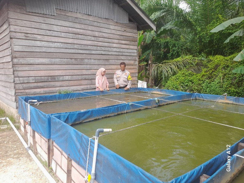 Bhabinkamtibmas Desa Pengalihan Monitoring Kolam Ikan Warga dalam Mendukung Ketahanan Pangan
