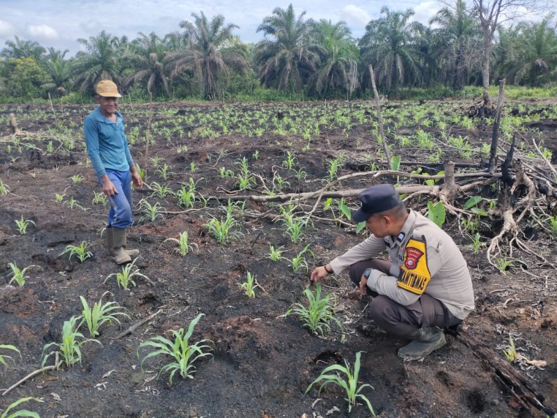 Dari Keritang Untuk Indonesia: AKP Yosi Marlius, Desa Mandiri Pangan Kalau Babinkamtibmas Turun Ke Ladang