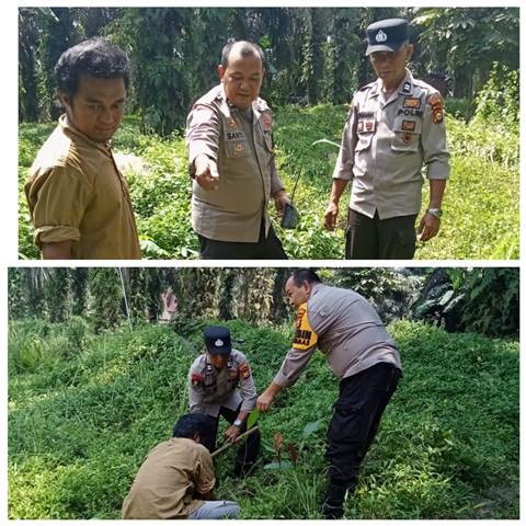 Polsek Bandar Sei Kijang dan Masyarakat Desa Simpang Beringin Laksanakan Penanaman Pohon Mangga