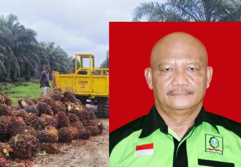 Aktivis Buruh Inhu Pertanyakan Status dan Hak Karyawan Perusahaan Milik Dedi Handoko