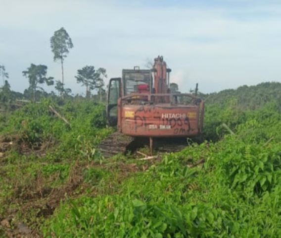 Disinyalir Rit dan AR Bebas Menggarap Hutan di Sungai Sembilan Tanpa Izin