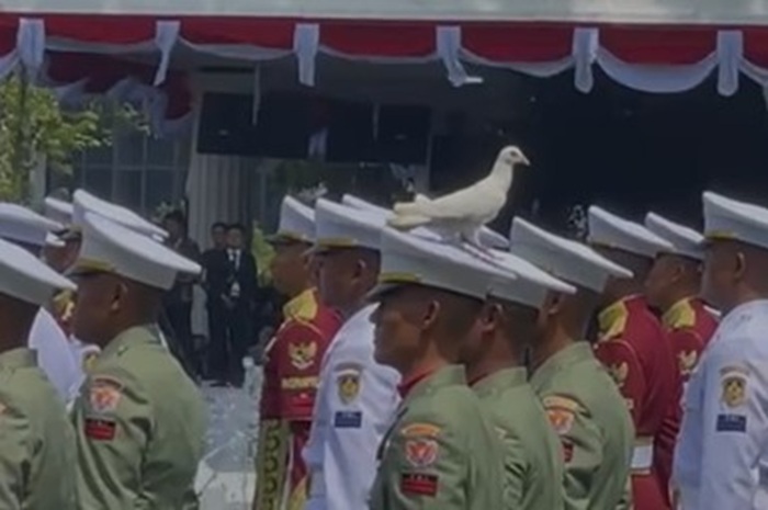 Unik! Merpati Putih Hinggap di Topi Prajurit Saat Upacara HUT RI ke-80 di Istana