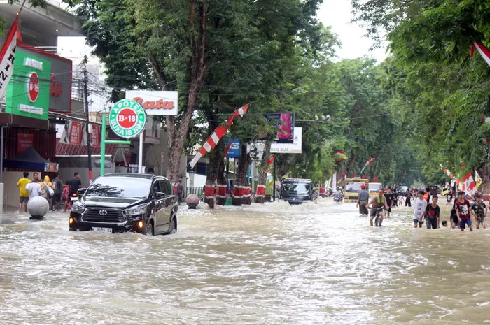 Banjir Melanda Grobogan: Transportasi Lumpuh, 16 Hektar Lahan Pertanian Terancam Gagal Panen