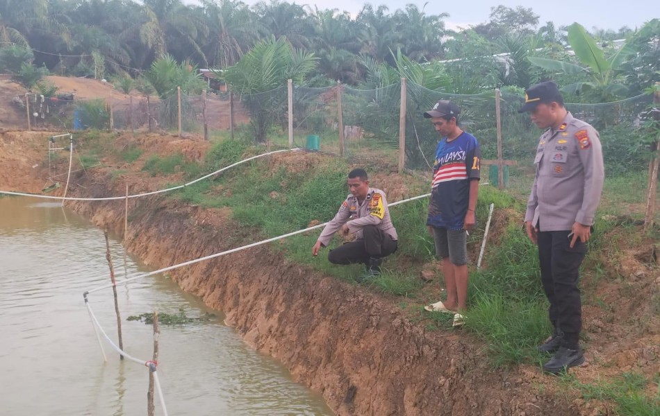 Polri Hadir untuk Ketahanan Pangan, Kapolsek Batang Cenaku Sambangi Peternak Ikan Nila