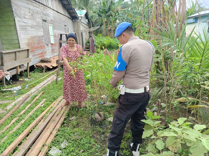 Bhabinkamtibmas Polsek Enok Motivasi Warga Enok Tanam Sayur, Labu, Kunyit, dan Serai di Pekarangan