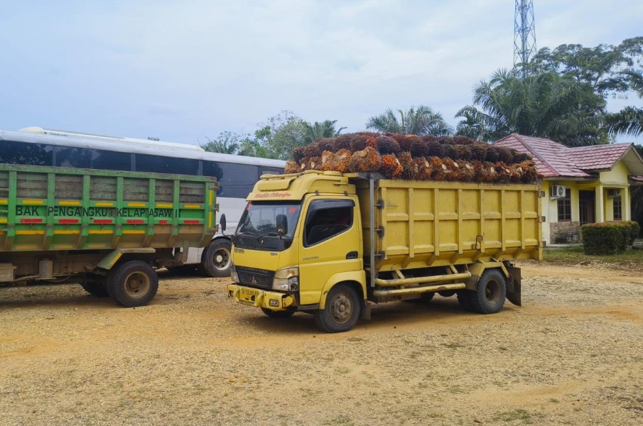 Penjarahan Kebun Negara Tak Terbendung, Polisi Amankan Barang Bukti