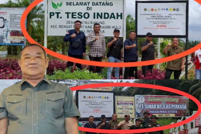 Tokoh Adat Indragiri: Penertiban Aset Cukong adalah Penyelamatan Marwah Negeri