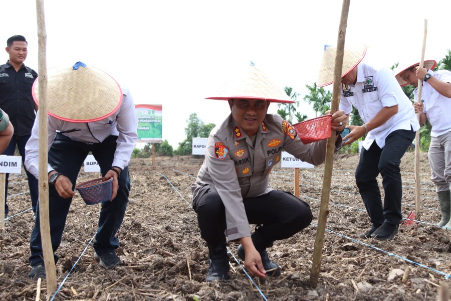 Polres Inhil Bersama Forkopimda Laksanakan Penanaman Jagung Serentak di Desa Teluk Jira