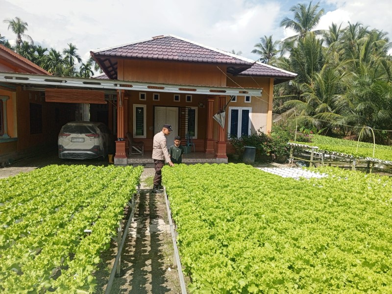 Langkah Kecil Untuk Ketahanan Pangan: Bhabinkamtibmas Polsek Keritang, Setiap Sayur Yang Tumbuh Adalah Harapan