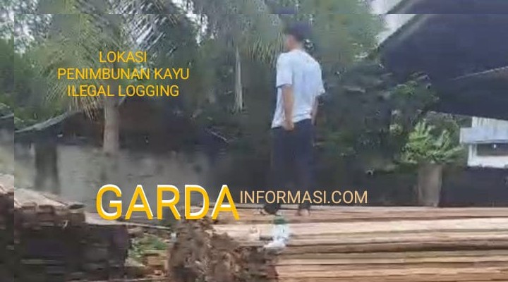 Bos Ilegal Logging Meraja Lela, Di Duga Kebal Hukum