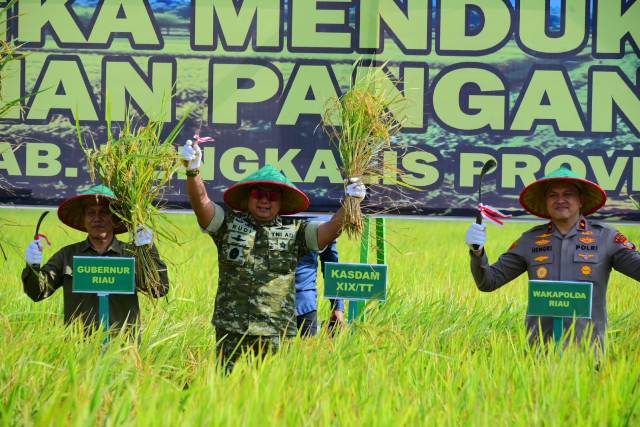 Kodam XIX Tuanku Tambusai Perkuat Ketahanan Pangan Nasional, Kasdam Tegaskan Lahan Pertanian Harus Tetap Terjaga