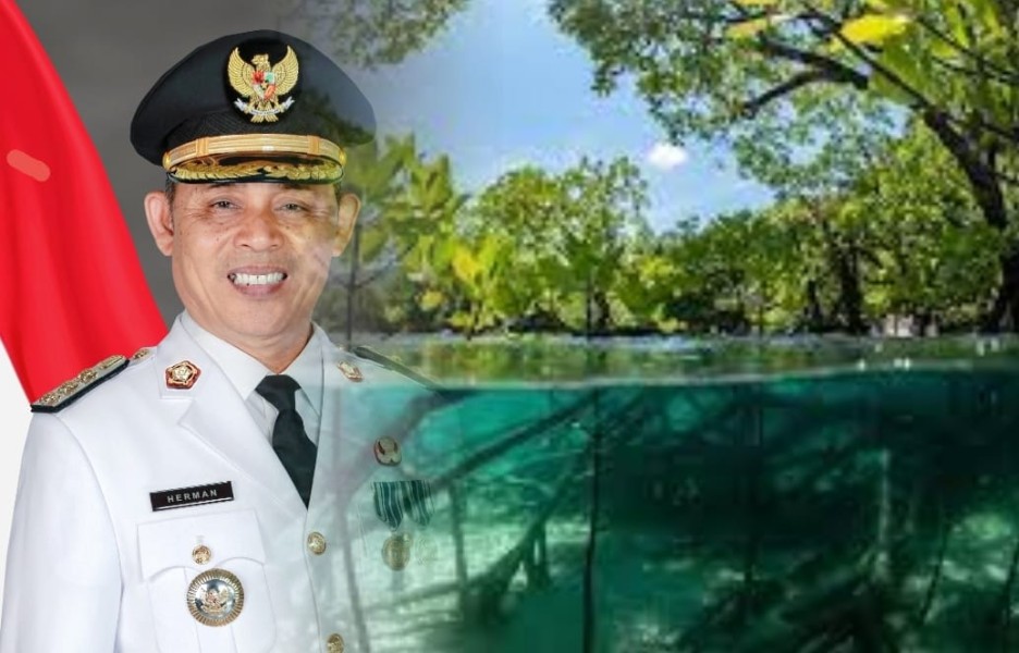 Bupati Inhil Sikapi Maraknya Pengurusan Izin Blue Carbon Mangrove Tanpa Koordinasi