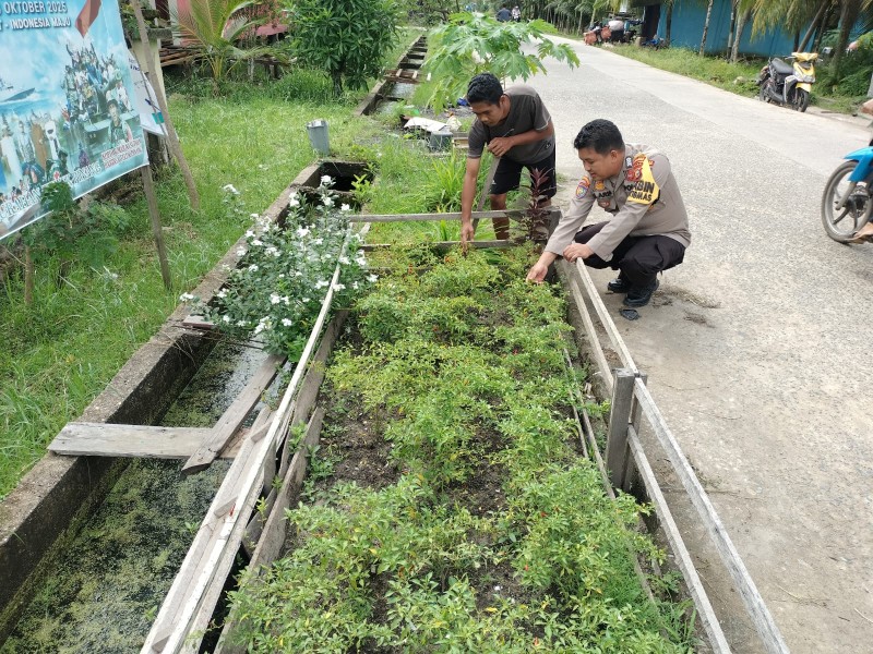 Cabe Rawit Tumbuh, Harapan Menguat: Bhabinkamtibmas Teluk Pinang Turun ke Kebun Warga