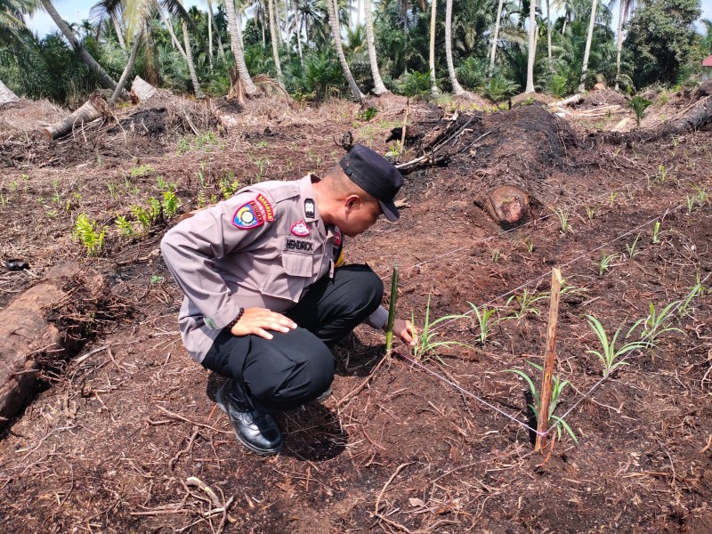Dukung Program Asta Cita, Bhabinkamtibmas Polsek Keritang Pantau Progres Lahan Jagung di Desa Lintas Utara
