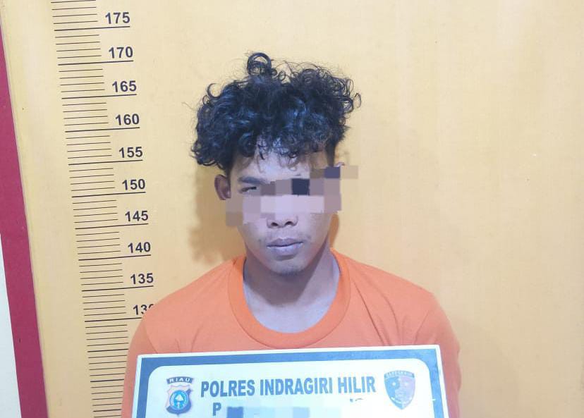 Polsek Tempuling Ungkap Kasus Pencurian di Kebun Sawit, Pelaku Berhasil Diamankan