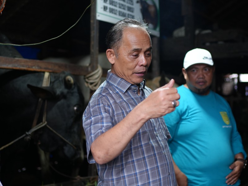 Bupati Indragiri Hilir (Inhil) Herman, tegaskan pentingnya pemeriksaan kesehatan pada hewan ternak yang akan dikurbankan, sebagai salahsatu syarat penting dalam hukum Islam.
