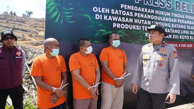 Oknum Sekdes di Kampar Terlibat Mafia Perambahan Hutan Lindung, Modus Gunakan Surat Adat