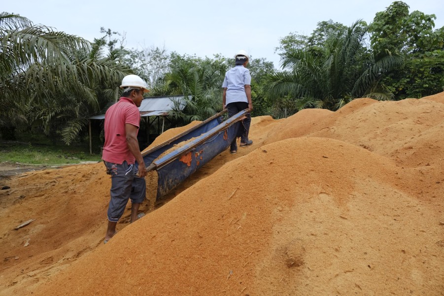 Kembangkan Sistem Energi Terintegrasi, PLN IP Jadikan Teknologi Hijau Sebagai Pilar Utama