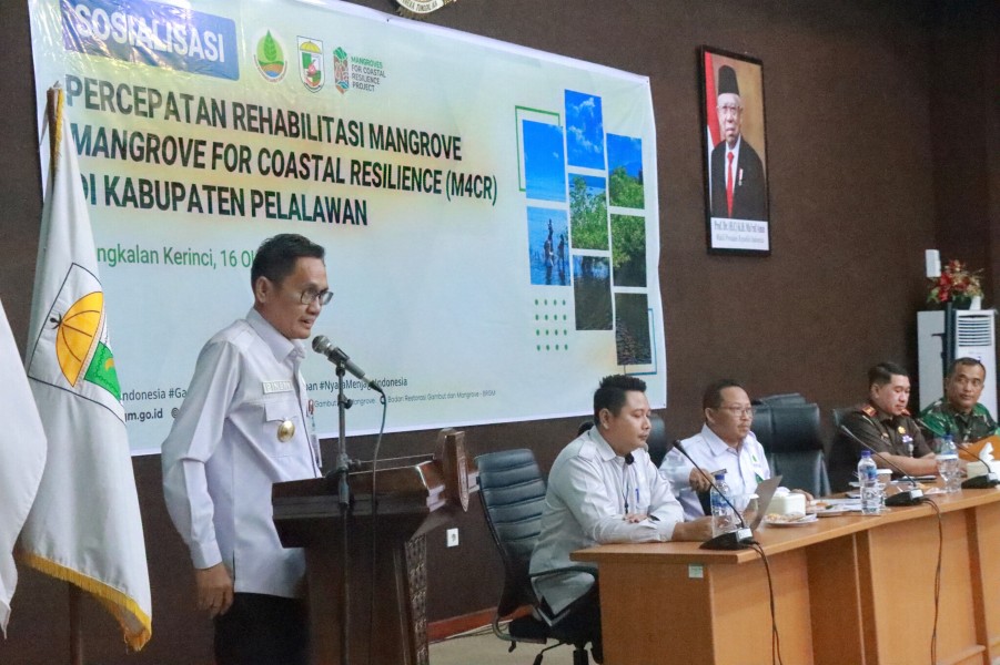 Pemkab Pelalawan Sambut Baik Percepatan Rehabilitasi Mangrove BRGM