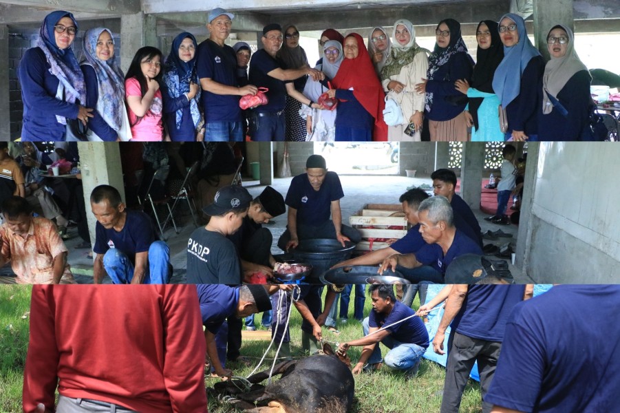 Alami Peningkatan, DPD PKDP Inhil Sembelih 7 Ekor Sapi Kurban di Tahun Kelima 1447 H.