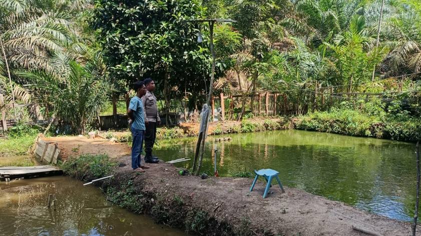 Polsek Kelayang Dorong Ketahanan Pangan Melalui Sambang ke Kolam Ikan Nila Warga