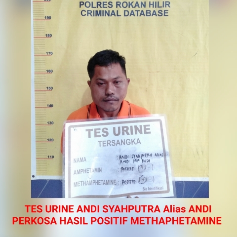 Bobol Ruko, Sikat Uang Tunai, DPO Ini Ditangkap Polsek Panipahan