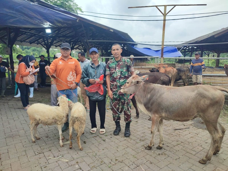 Warga Situbondo Bersyukur, Bandara KASA Salurkan Ratusan Hewan Ternak