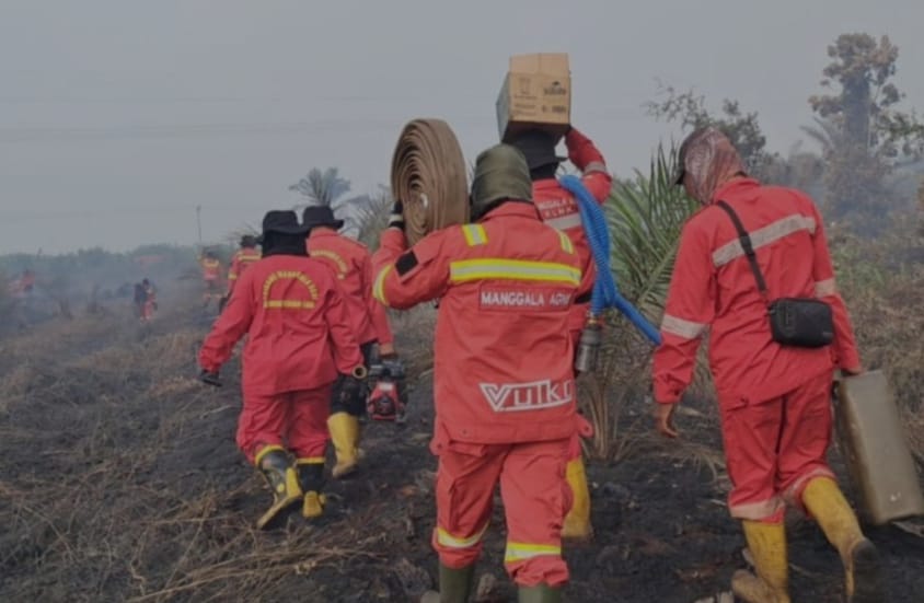 Hujan Bawa Angin Segar, Titik Panas Karhutla di Riau Anjlok 64%