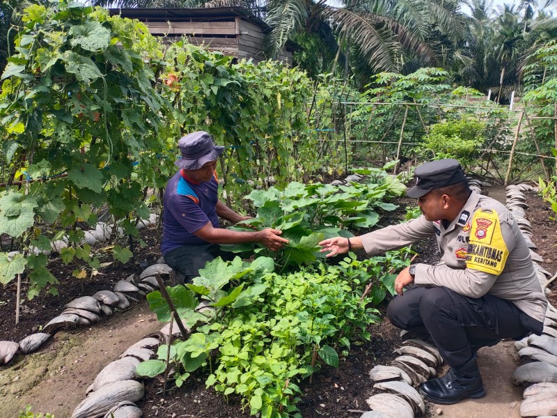 Terong, Cabai, Pare: Dari Nusantara Jaya Polri Dukung Petani Lawan Ketergantungan Pangan