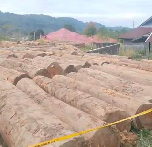 Soroti Pembalakan 150 Hektar di Hulu Batang Bayang, Novermal Yuska Dilaporkan Pengusaha Kayu