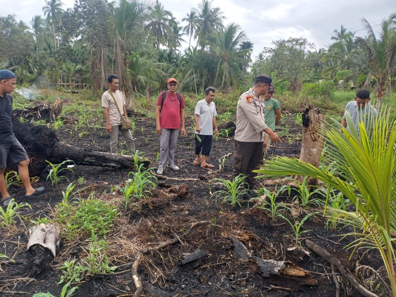 Bhabinkamtibmas Desa Teluk Bunian Pantau Progres Pertumbuhan Jagung,