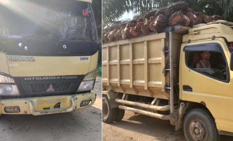 Diduga Jarah TBS di Kebun Negara, Batin Gunduk Cs Dilaporkan ke Polisi