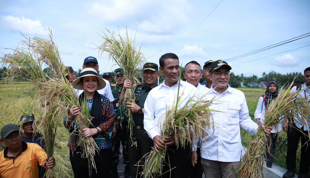 Ingatkan Bulog, Swasembada, Menteri Amran: Bisa Bermasalah Jika Gabah Petani Tidak Terserap Maksimal