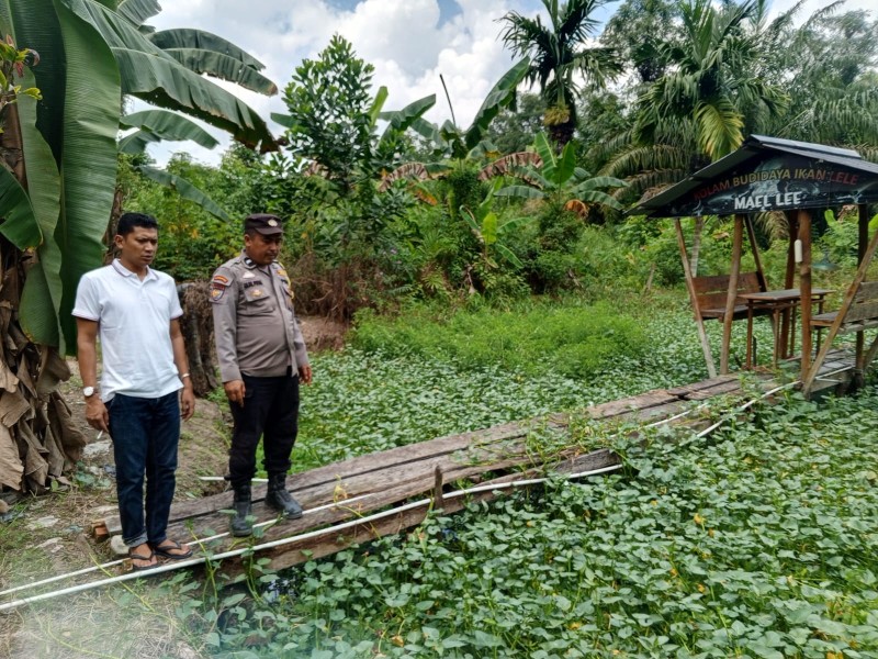 Di Kolam Pak Mail, Aipda Arjul Jaga Ketahanan Pangan Desa Kotabaru Seberida
