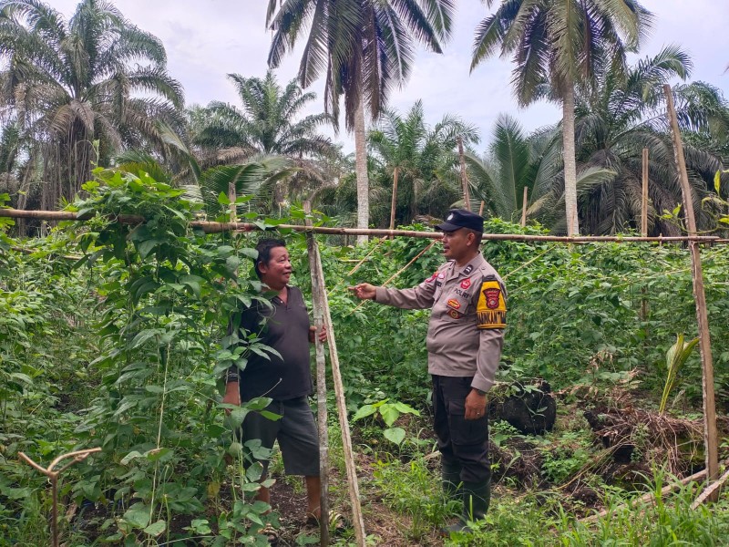 Personil Polsek Keritang Turun Langsung Ke RT 02 Lintas Utara, Pastikan Lahan Produktif