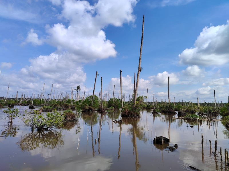 Infrastruktur Rusak dan Ekonomi Terganggu, BDPN Minta Pemda Inhil Tetapkan Rencana Aksi Iklim