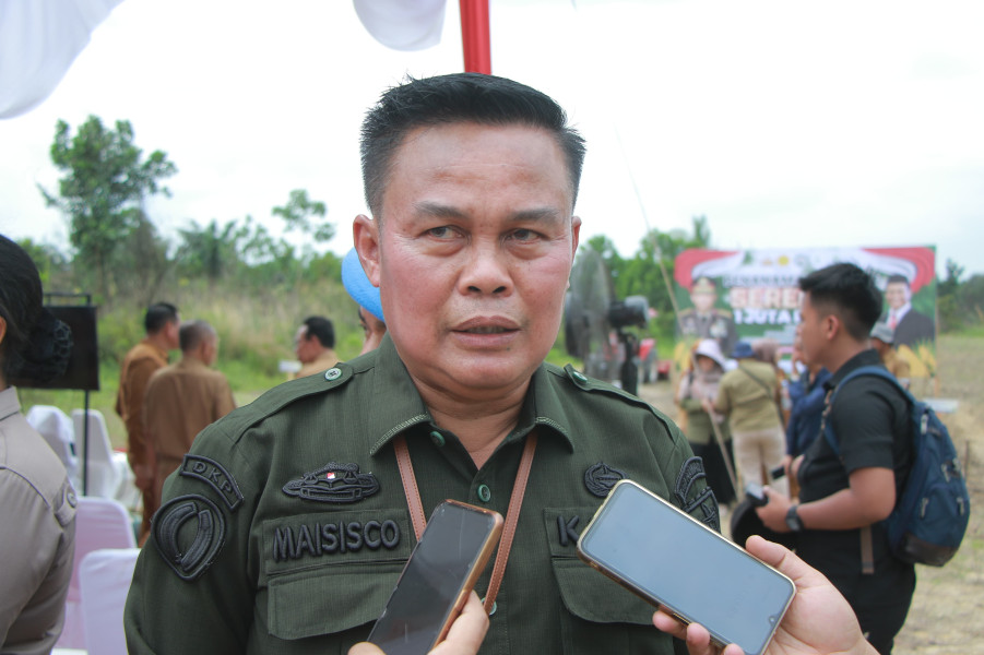 Pemko Pekanbaru Dukung Penanaman Jagung Serentak Satu Juta Hektare, Plh Diskominfotiksan: Untuk Kemandirian Pangan