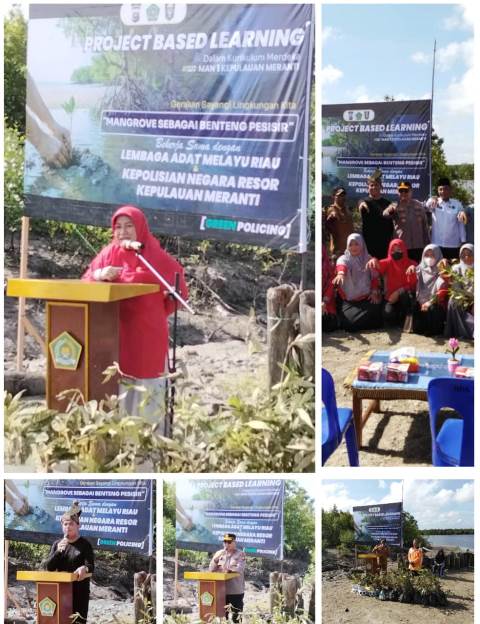 Kolaborasi MAN 1, Polres dan LAMR Kepulauan Meranti Tanam Ribuan Pohon Mangrove