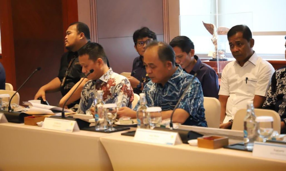 Bupati Inhil Sampaikan Kondisi Krisis Listrik di Desa-desa ke PLN Pusat