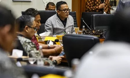 Rapat Dengar Pendapat Umum Bahas Penyusunan RUU Pertambangan, APNI Sampaikan Pandangan