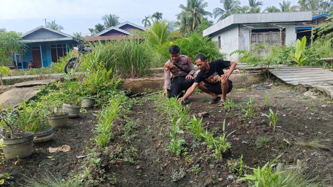 Polsek Enok Hadir di Tengah Pekarangan Warga, Kawal Ketahanan Pangan dari Halaman Rumah