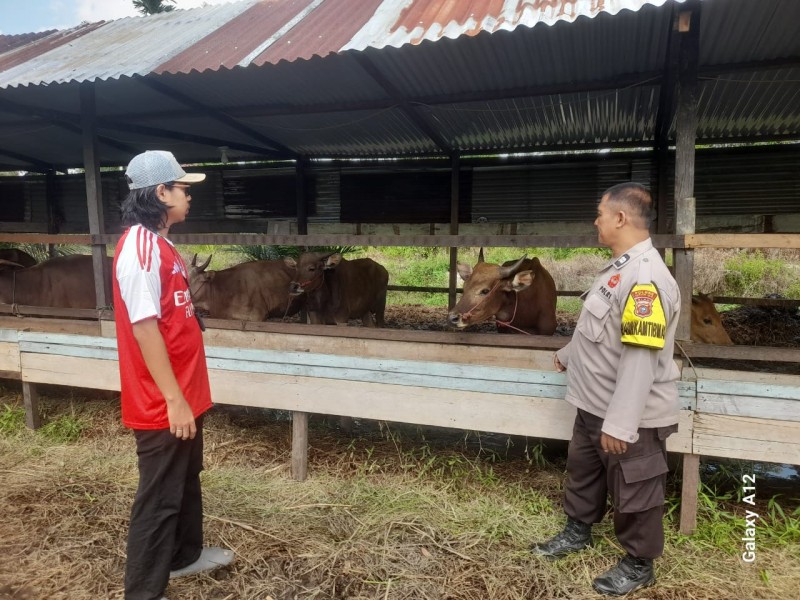 Kapolsek Keritang Dorong Ketahanan Pangan, Bhabinkamtibmas Sambangi Peternakan Sapi di Desa Pengalihan