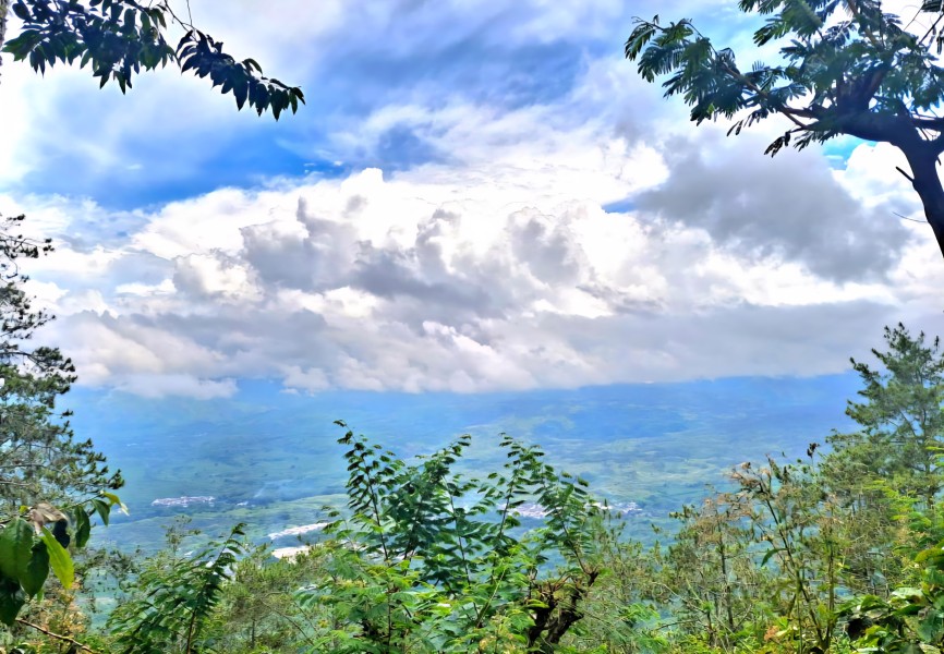 Wisata Negeri Atas Awan Kayumas Dikembangkan, Pemkab Situbondo Buka Peluang Investasi